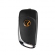 10pcs XHORSE VVDI2 Volkswagen DS Type Remote Key 3 Buttons