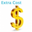 Software update fee